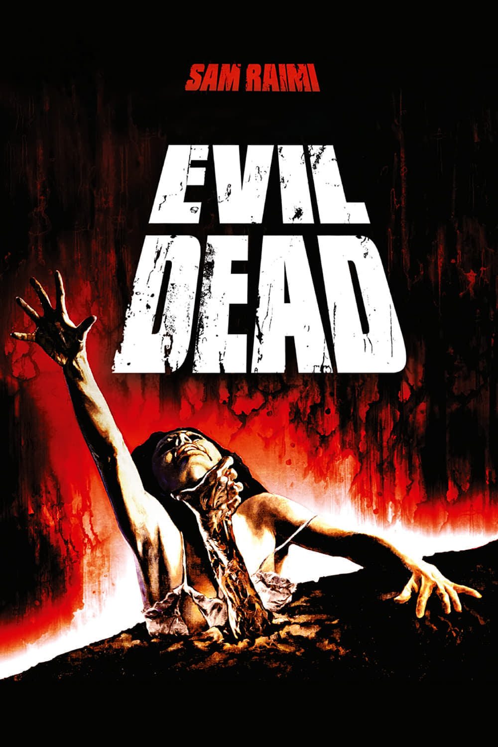 Poster Film